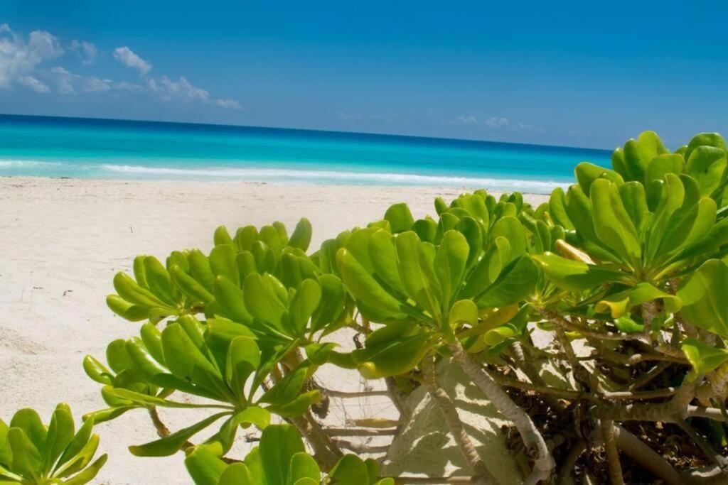 Ocean View Apartment, Best Beach Area, 3 Bedrooms Cancún Exteriör bild